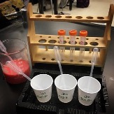 Experiment setup with paper cups and test tubes on table